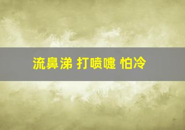 流鼻涕 打喷嚏 怕冷